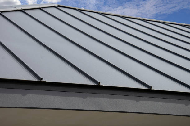 Best Steel Roofing  in Manheim, PA